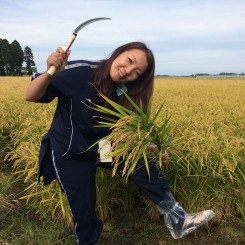 北海道八雲町にて農業体験研修